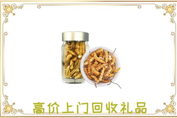 克拉玛依周边回收虫草